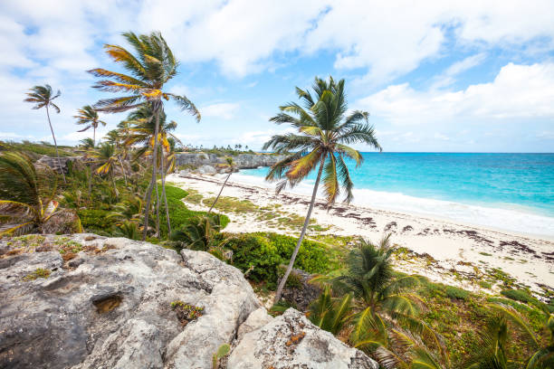 istock Caribbean beach - Harrismith, Barbados 1199693006
