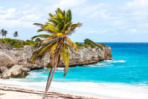 istock Caribbean beach - Harrismith, Barbados 1199693026