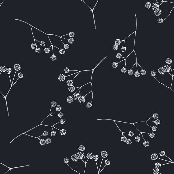 Seamless pattern with hand drawn chalk gypsophila Seamless pattern with hand drawn chalk gypsophila stock illustration gypsophila stock illustrations