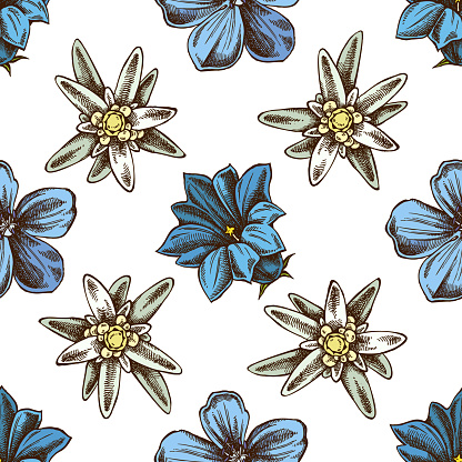 Seamless pattern with hand drawn colored edelweiss, meadow geranium, gentiana stock illustration