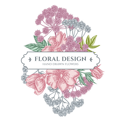 Floral bouquet design with pastel dog rose, valerian, angelica stock illustration