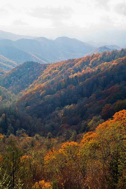 istock Autumn, Great Smoky Mountains NP 119969978