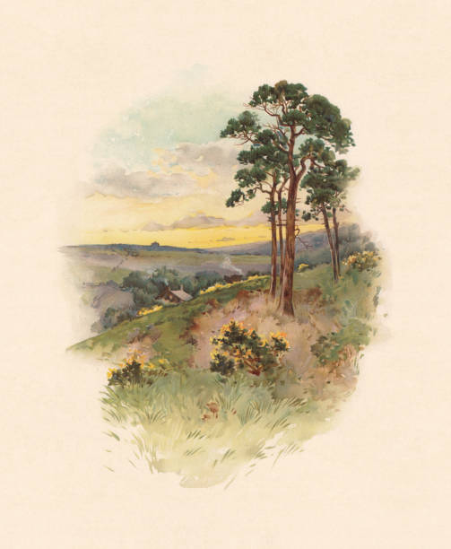 istock Hilly landscape with houses in the valley, chromolithograph, published 1899 1199700685