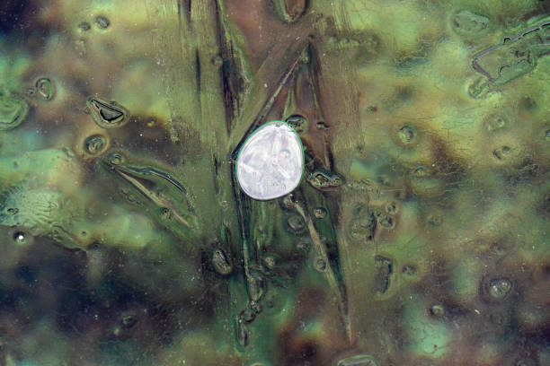 istock air bubble trapped inside frozen ice lake water 1199703107