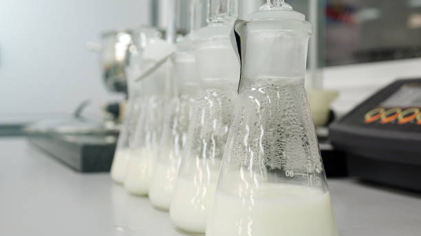 samples of dairy products in the laboratory. stock photo