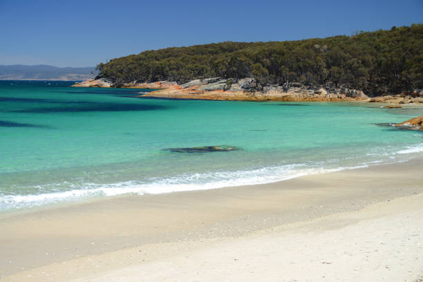 vista sulle acque turchesi di hazard beach (vicino a wineglass bay), freycinet national park, tasmania, australia - freycinet national park foto e immagini stock