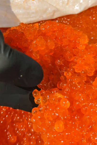 red caviar in plastic container. salmon caviar, diet food. - plank bread caviar close up imagens e fotografias de stock