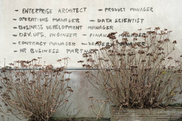 Some of the best paid jobs are listed on this wall: Enterprise architect, Product manager, Operations manager, Business development manager, DevOps engineer, Data scientist, HR business partner, Finance manager, Delivery manager, Contract manager... *** The text was digitally superimposed and a release is provided ***