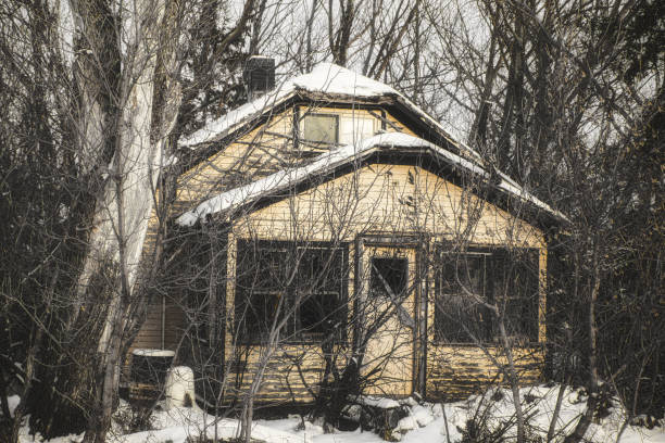 istock Abandoned house in the forest 1199708760