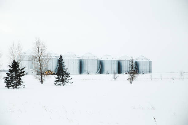 istock Row of steel grain bins 1199709460