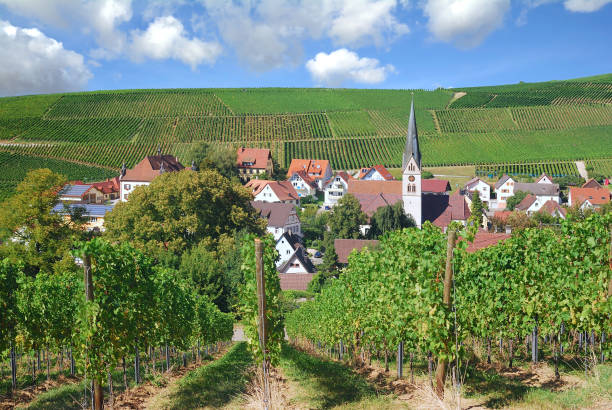 Wine Village of Ebringen in Black Forest,Germany