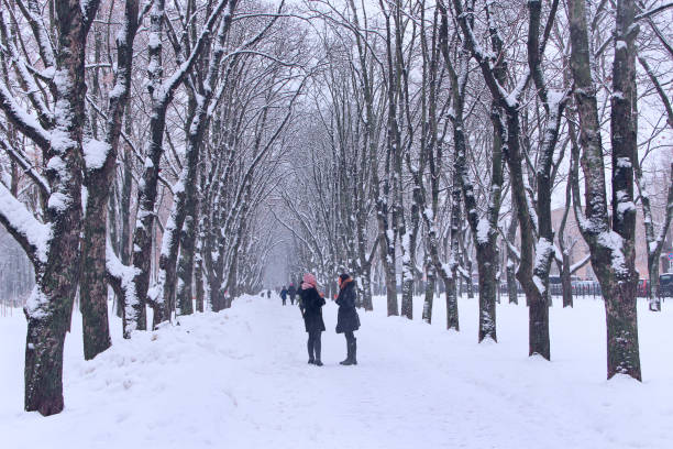 Chernihiv / Ukraine. 12 December 2018: Two girlfriends have conversation in winter park during snowfall. Girls in winter park. Young women talk in winter city park during snowfall. Meeting of two girlfriends in park path while snowfall