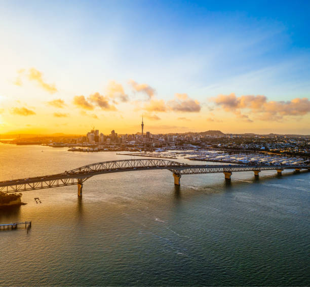 auckland im morgengrauen - grand harbour stock-fotos und bilder