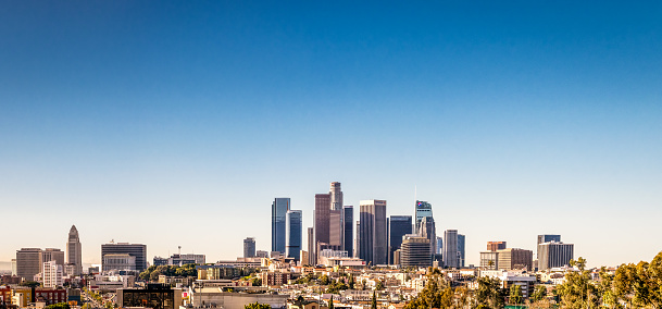 A panoramic image of the towers of LA's downtown area, below a clear blue sky.