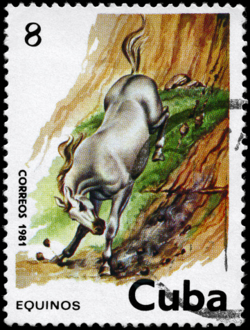 Canceled Cuban Postage Stamp White Horse Running Down Steep Hillside - See lightbox for more