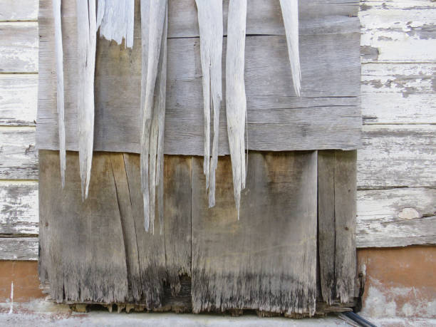 dettaglio di legno bianco vecchio e arrugginito. architettura caraibica porta d'ingresso casa caraibica - wood shutter rusty rust foto e immagini stock