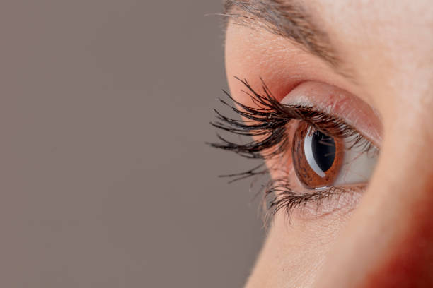 istock Female eye macro shot 1199716964