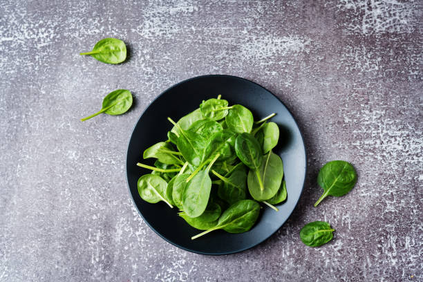 istock Raw fresh spinach leaves on a stone background 1199717225