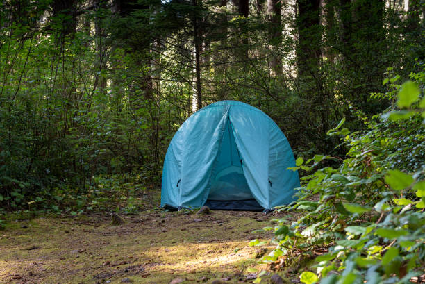 istock Camping in Humboldt County 1199717736