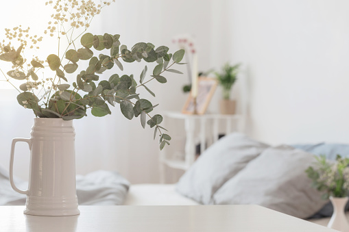 eucalyptus and gypsophila  in jug  in white bedroom