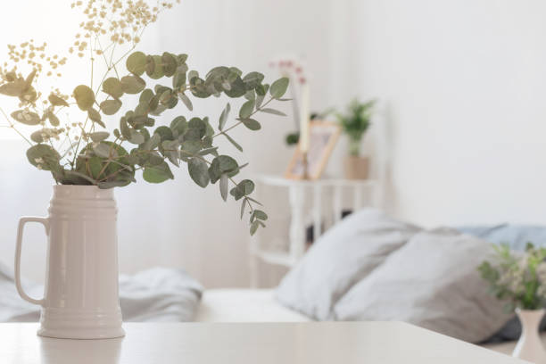 eucalyptus and gypsophila  in jug  in white bedroom eucalyptus and gypsophila  in jug  in white bedroom eucalyptus tree photos stock pictures, royalty-free photos & images