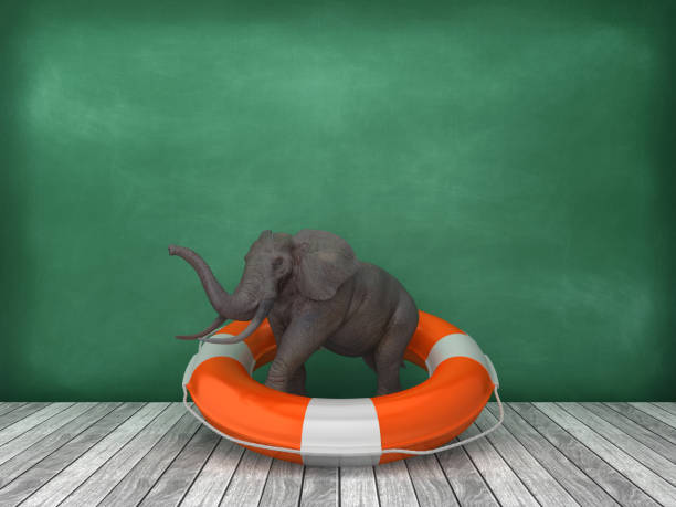 Life Belt with Elephant on Wood Floor - Chalkboard Background - 3D Rendering
