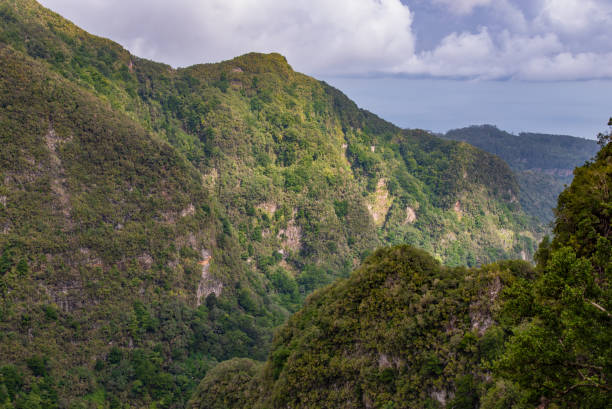 istock Hiking on the Levada do Caldeirao Verde. 1199720405