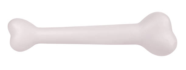 istock Dog bone white pet toy perfect long isolated on white background 1199722273