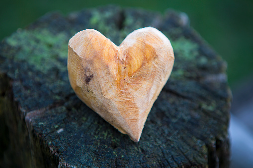Roughly carved wooden heart in the forest