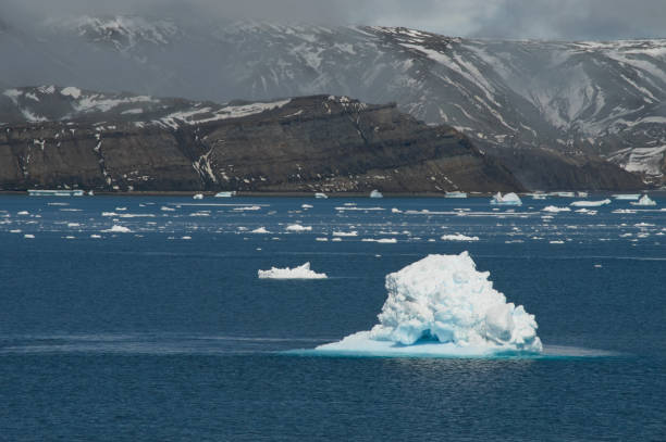 a view of the antarctica, sea and ice. - climate change south pole antarctica imagens e fotografias de stock