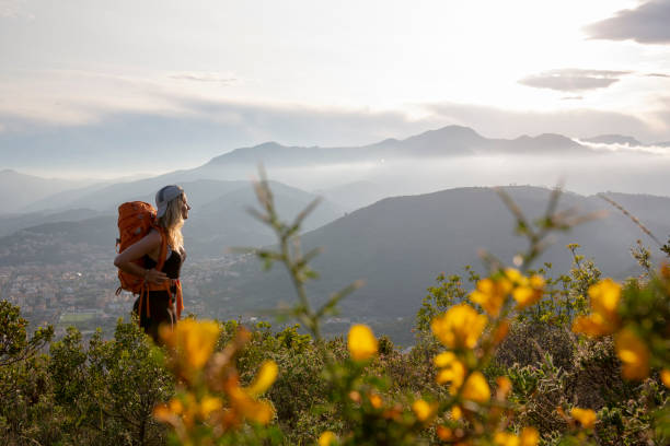 istock View through backlit blossoms to backpacker on a hilltop at sunrise 1199729487