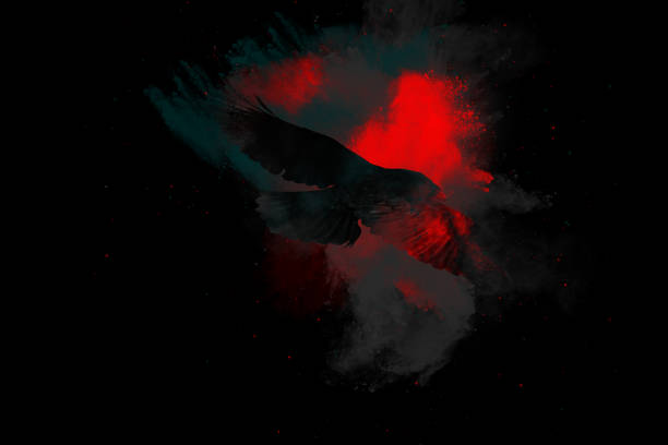 Raven  Face with white background
