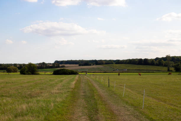 istock Dirt road next to a cattle pasture 1199733752