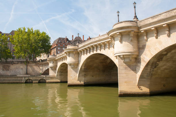 istock Pont Neuf in Paris 1199734322