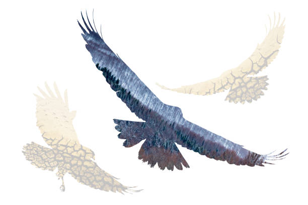 istock Abstract nature and birds. White background. 1199738808