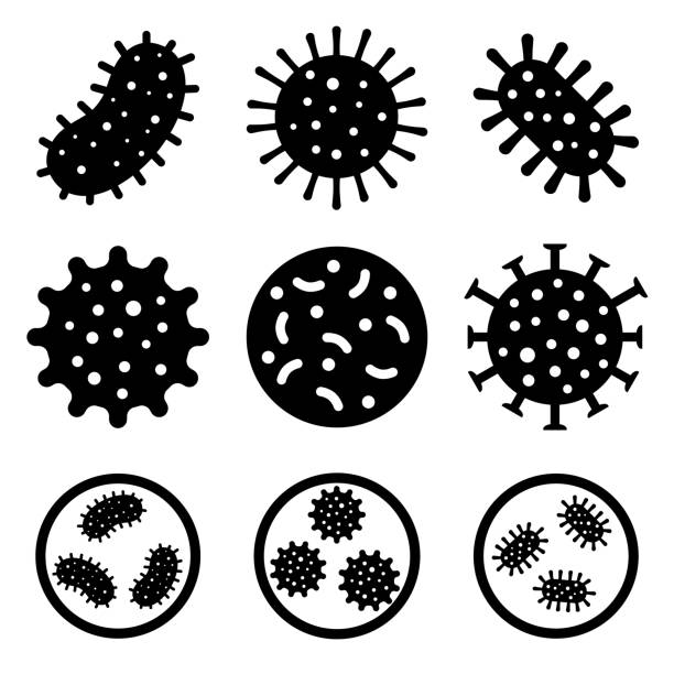 ilustrações de stock, clip art, desenhos animados e ícones de bacteria set icon, logo isolated on white background - cell human cell plant cell virus