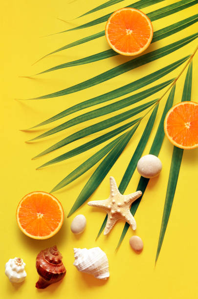 istock Tropical Summer Beach Background. Palm Trees Branches, tarfish, seashell and orange on yellow summer background. Travel. Summer concept. 1199742608