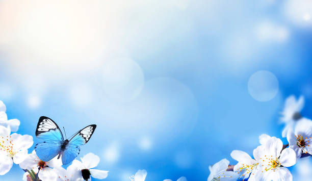 istock Blossom tree over nature background. Spring flowers. Spring Background 1199742611