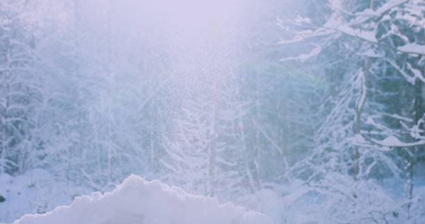 istock Winter Sun Shining Through Snowfall with trees on a cold morning. 4k resolution 1199743373
