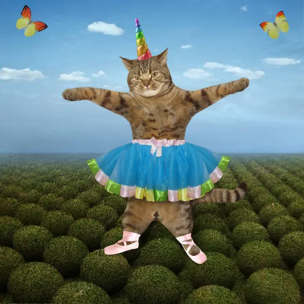 The cat unicorn ballet dancer dressed a blue skirt and pink pointe shoes is dancing on a green field.