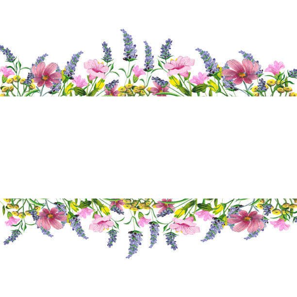 istock Watercolor hand painted nature floral frame border set with red daisy, lavender, pink flower, yellow and red on a white background for a congratulation card with space for text, for design invitations 1199747571