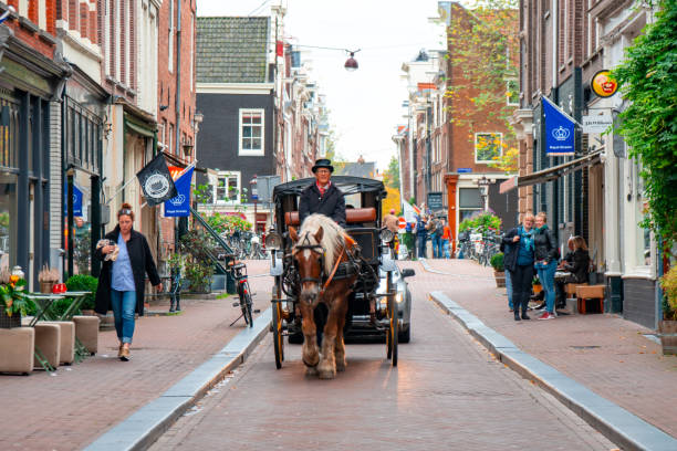 Amsterdam, Netherlands: Traditional horse wagon for tourists in Amsterdam.