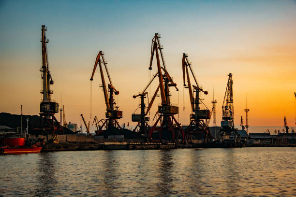 istock Harbor cargo cranes on sunset sky background 1199750861