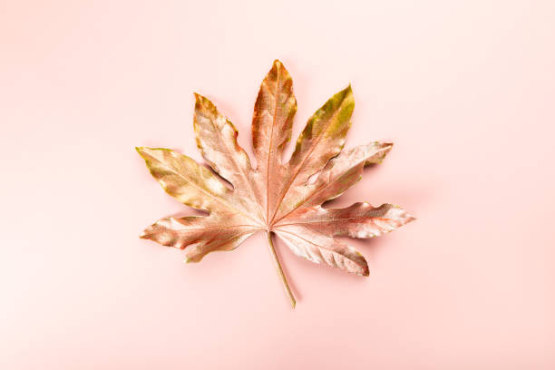 istock Beautiful Leaf painted in golden and copper metallic paint 1199751852