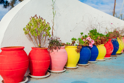 Flower pots of different colors outdoors. Row of colourful clay pots with plants on Santorini island. Greek art culture