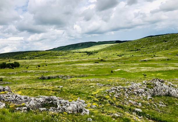 landscape in cevennes national park - causse mejean - france - mercantour national park photos et images de collection