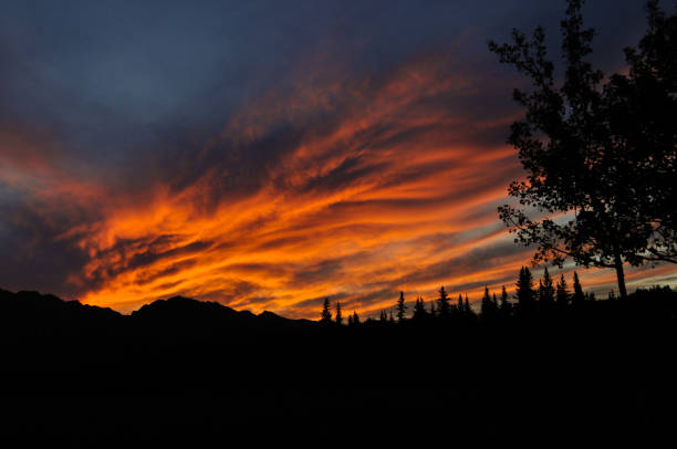 istock Sunset in the rocky Mountain Foothills 1199755339