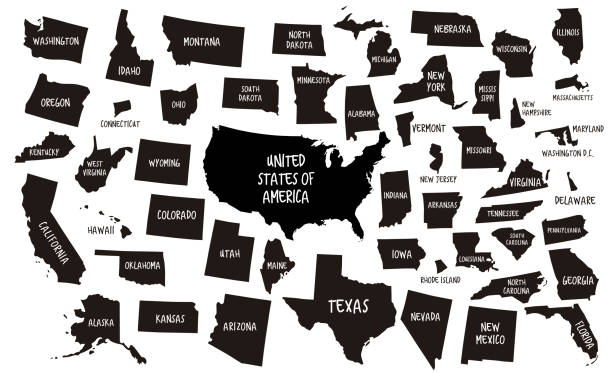 illustrazioni stock, clip art, cartoni animati e icone di tendenza di mappe usa e 50 stati - carolina del nord stato usa