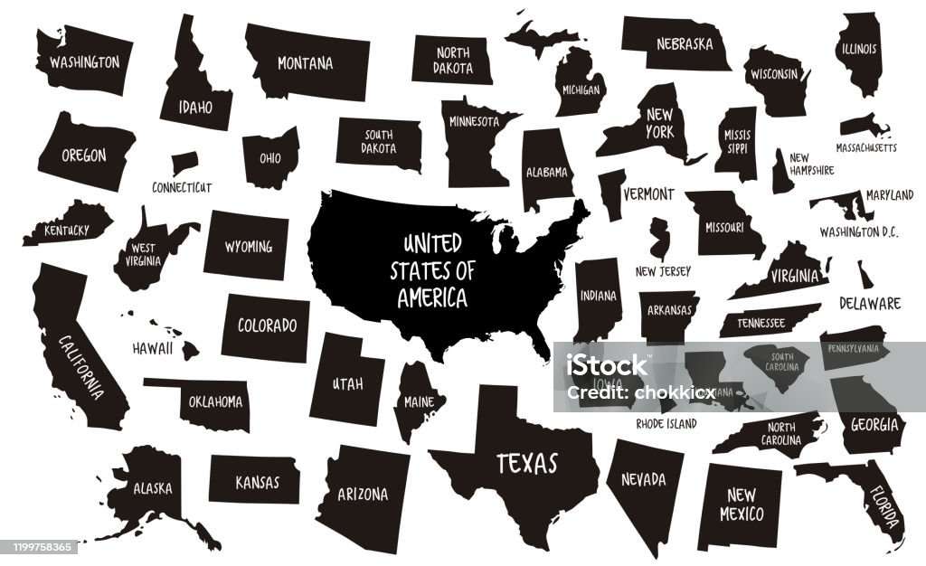 USA and 50 States Maps outline of USA maps USA stock vector