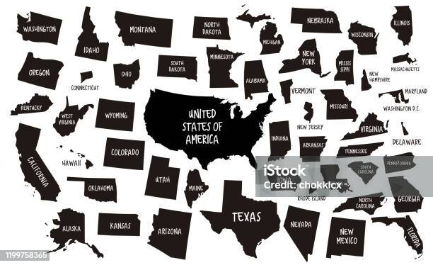 Usa And 50 States Maps Stock Illustration - Download Image Now - USA, Map, Outline